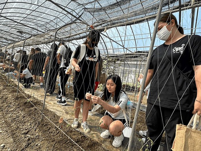 圖說：中信科大推動幸福食農活動，學生為番茄掛上祈福小卡。