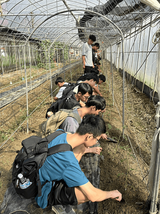 圖說：中信科大推動幸福食農活動，學生開心體驗種植番茄樂趣。