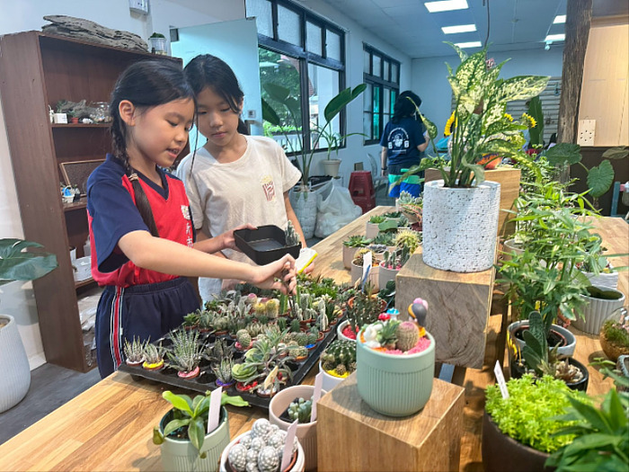 圖說:河畔綠藝所提供多款小型多肉植物，造型精巧可愛，提供民眾挑選。圖片